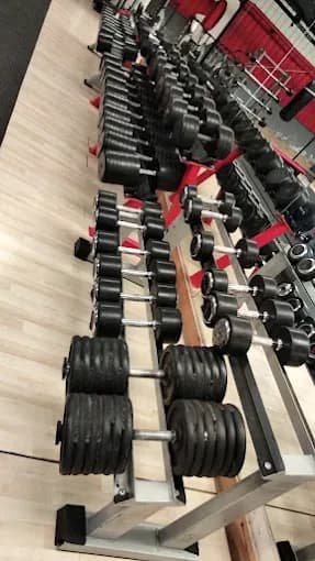 Mancuernas de la zona de peso libre de Colliseum Gym